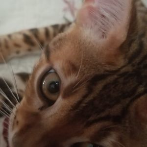 Meet your Posher, Tracey